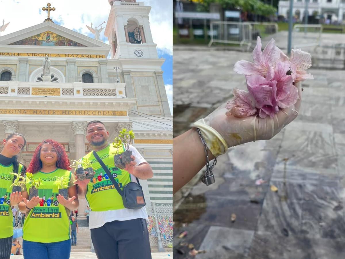 A imagem em destaque mostra a campanha que pretende tornar Belém um 'Jardim de Maria'.